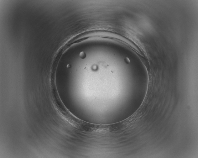 X0000076380155200610061133