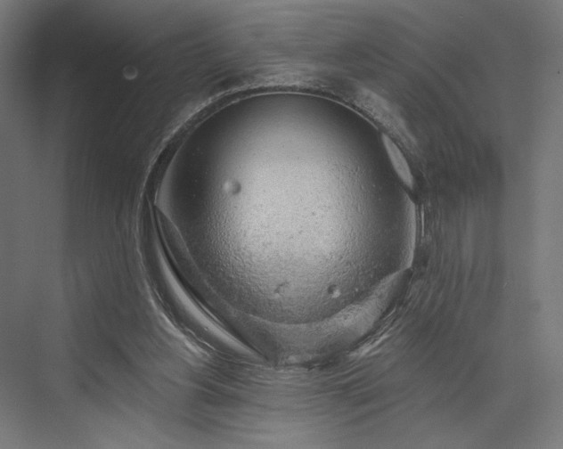 X0000076380156200610061133