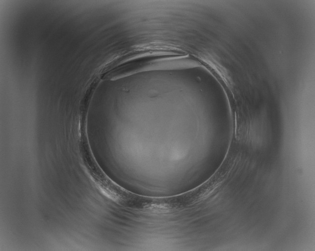 X0000076380157200610061133