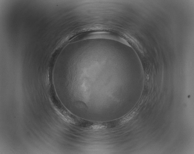 X0000076380158200610061134