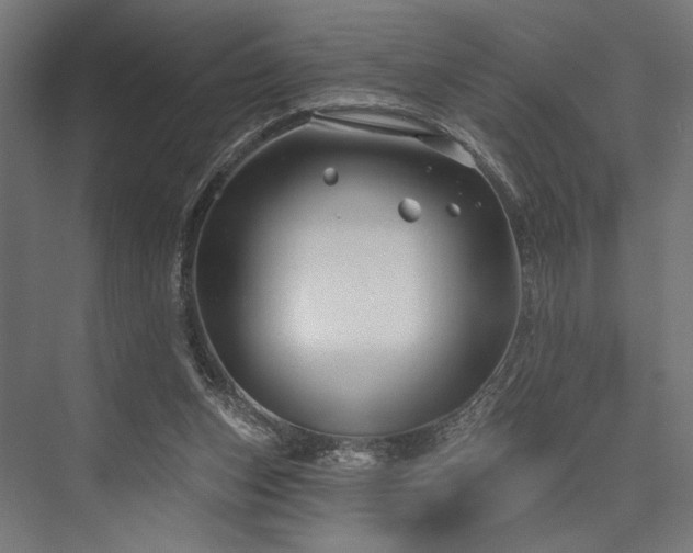 X0000076380159200610061134