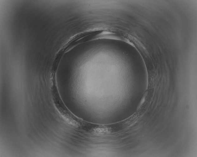 X0000076380160200610061134