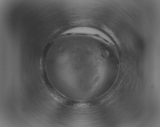 X0000076380161200610061134