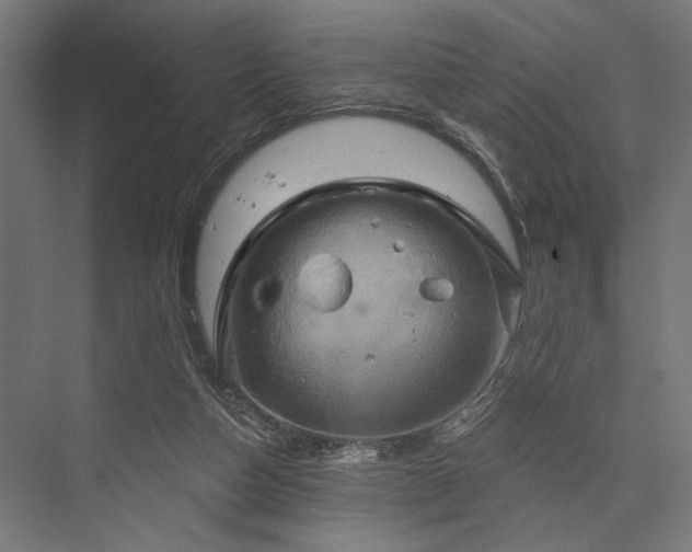 X0000076380162200610061134