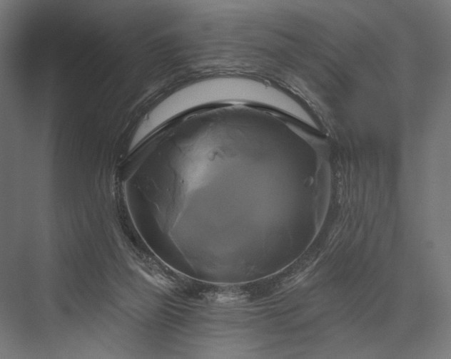 X0000076380165200610061134