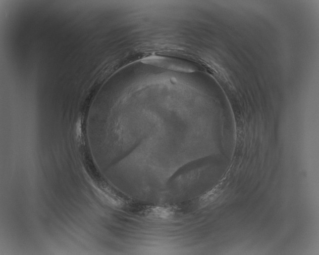 X0000076380166200610061134