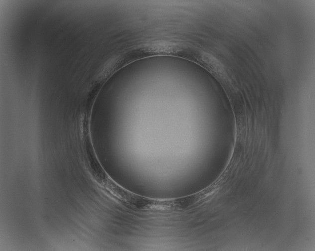 X0000076380167200610061134