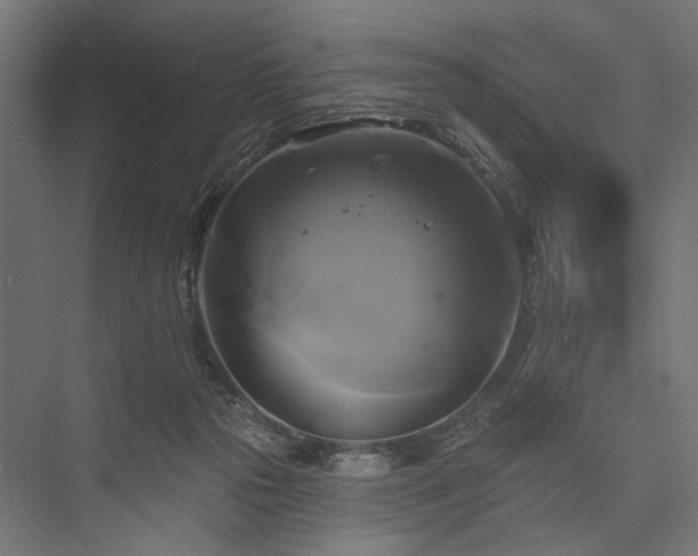 X0000076380169200610061134