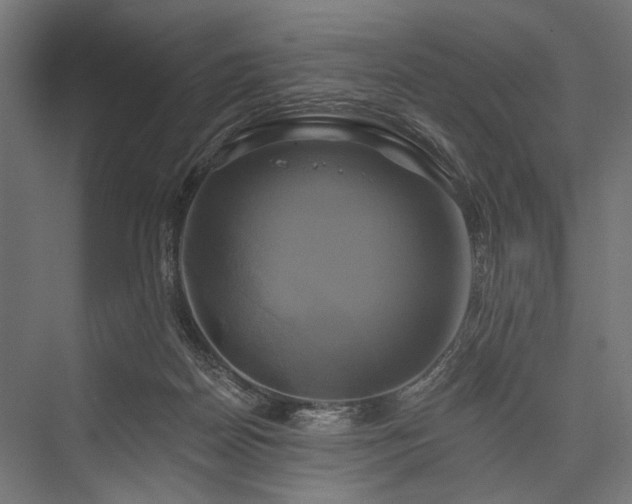 X0000076380170200610061134