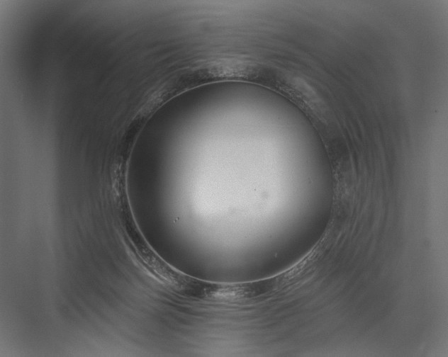 X0000076380171200610061134