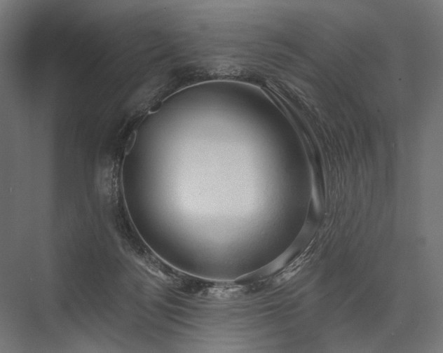 X0000076380172200610061134