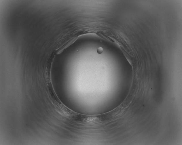 X0000076380173200610061134