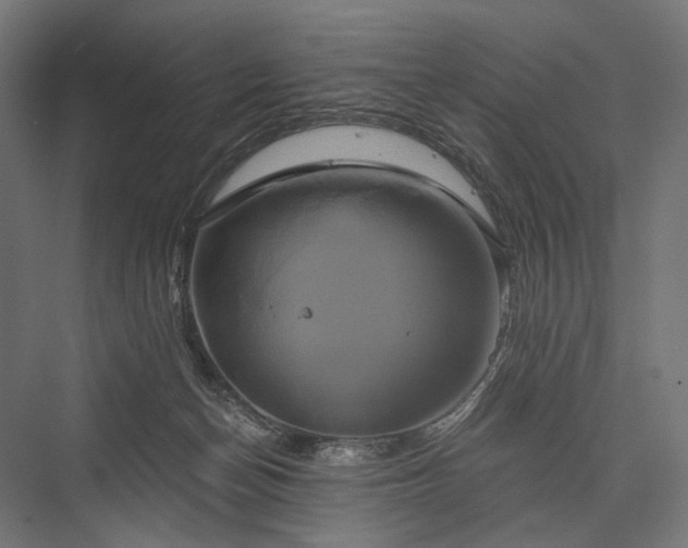 X0000076380174200610061134