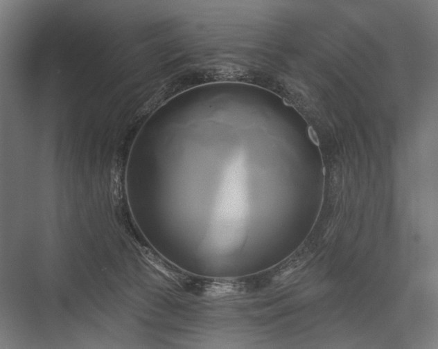 X0000076380177200610061134