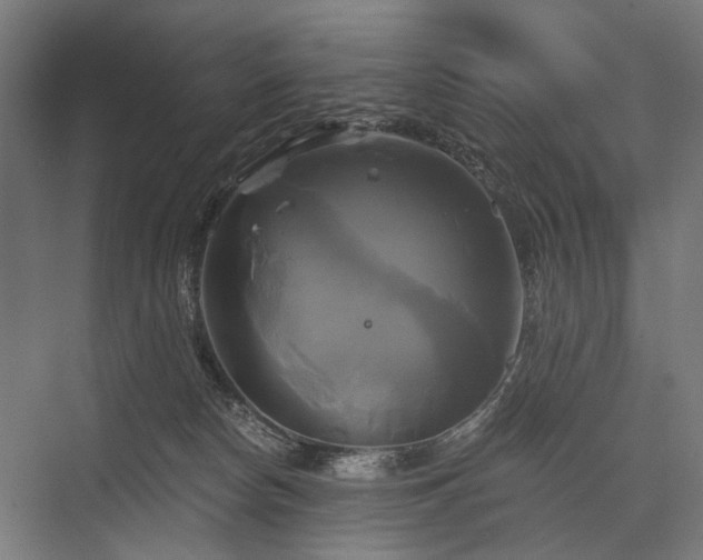 X0000076380178200610061134