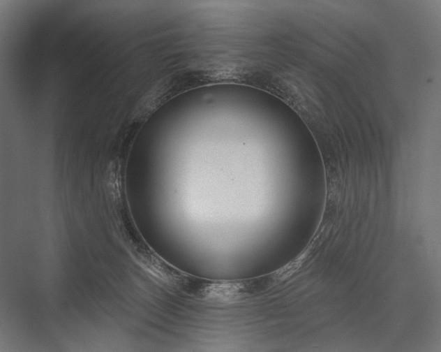 X0000076380179200610061134