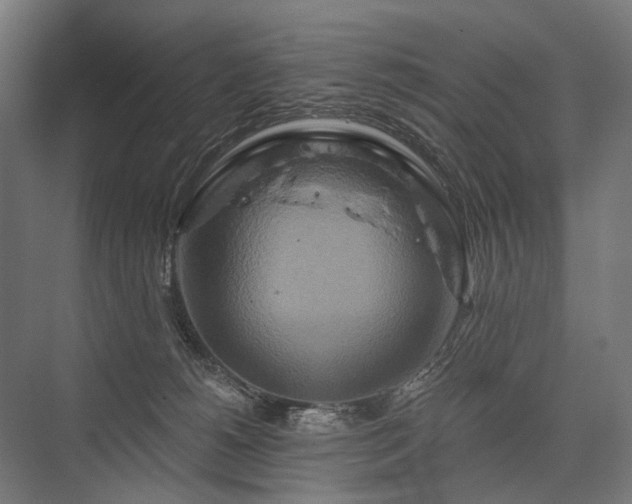 X0000076380180200610061134