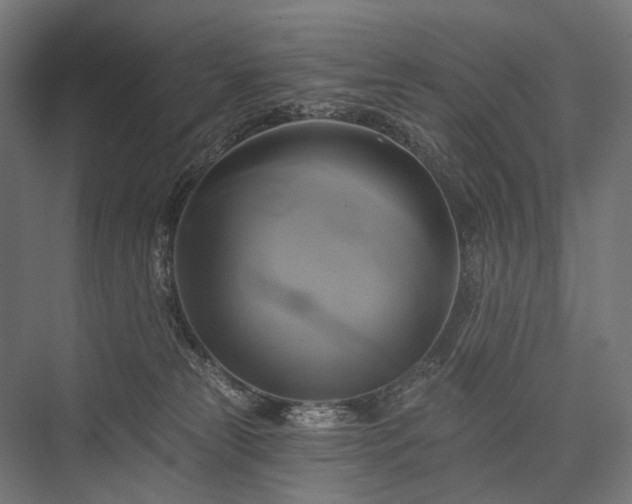 X0000076380181200610061134