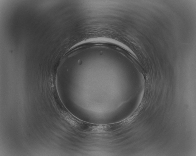 X0000076380182200610061134