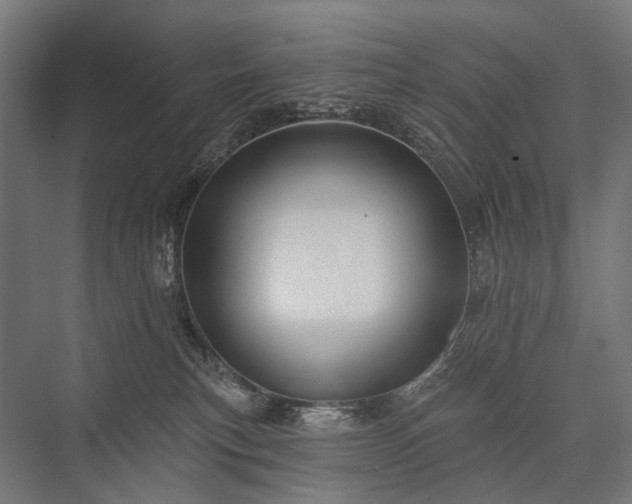 X0000076380183200610061134