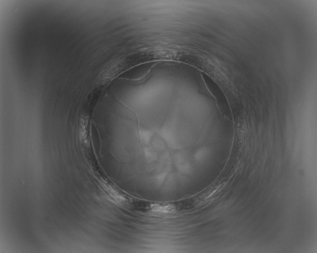 X0000076380185200610061134