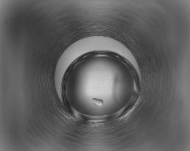 X0000076380186200610061134