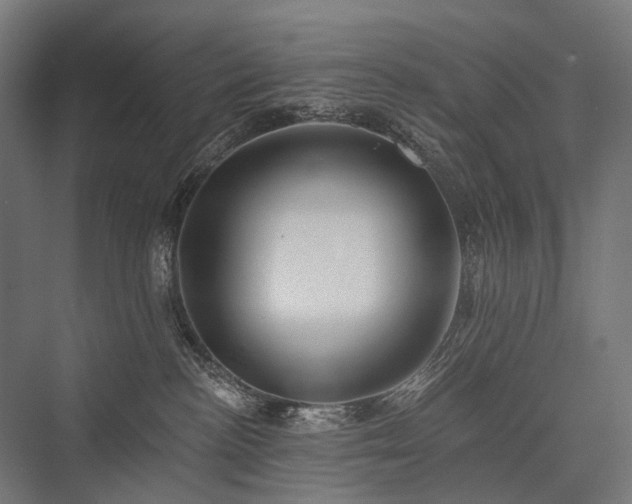 X0000076380188200610061134