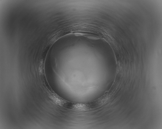 X0000076380189200610061134