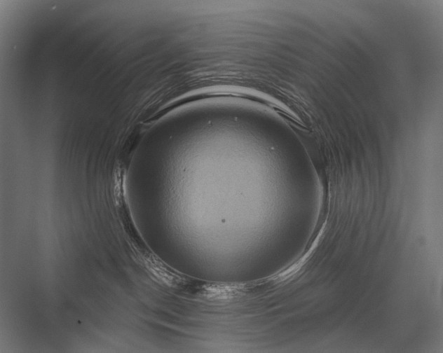 X0000076380190200610061134