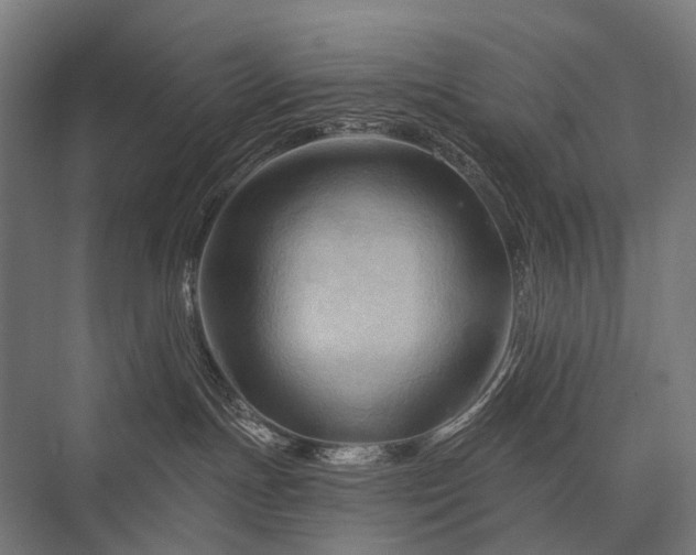 X0000076380191200610061134