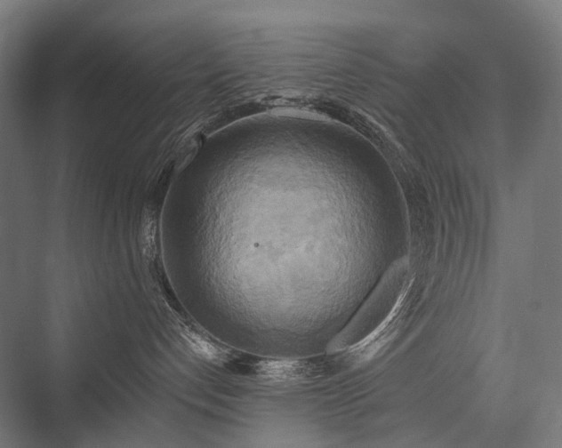 X0000076380192200610061134