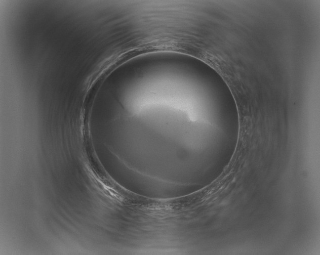 X0000076380194200610061133