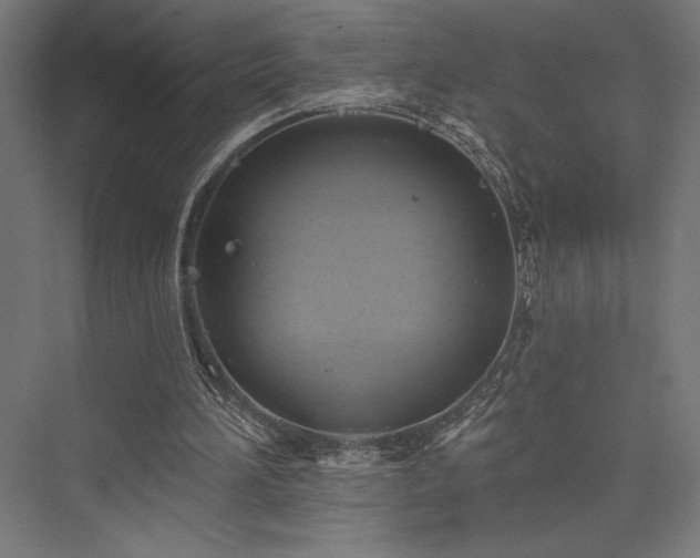 X0000076380196200610061133