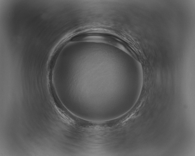 X0000076380197200610061133