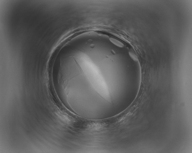 X0000076380198200610061133