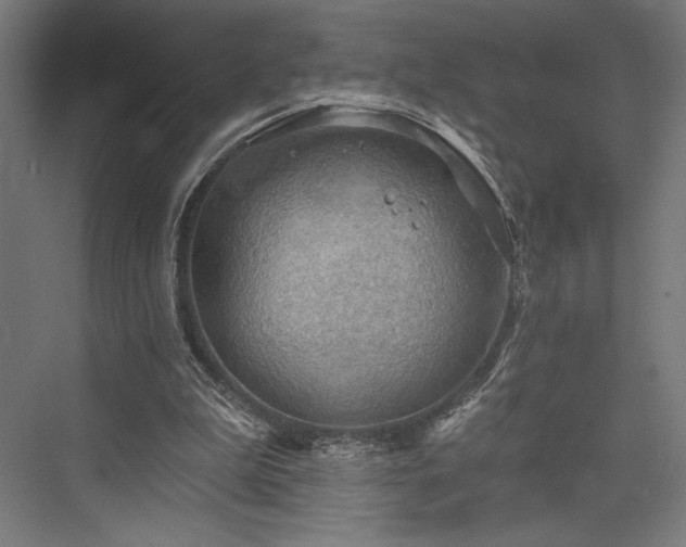 X0000076380199200610061133