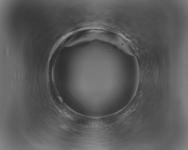 X0000076380200200610061133