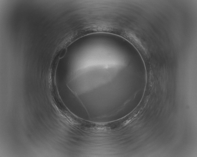 X0000076380202200610061133