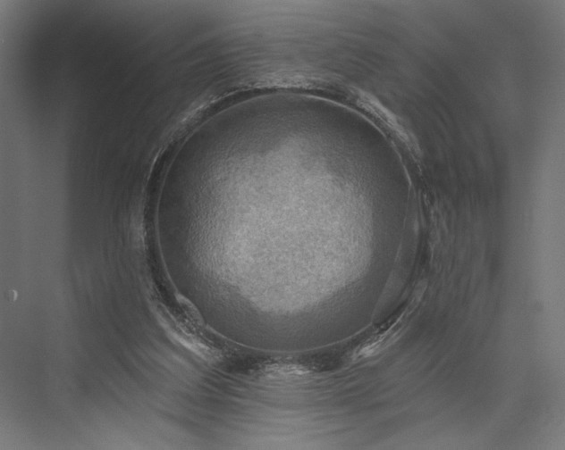 X0000076380203200610061133