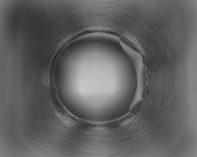 X0000076380204200610061133