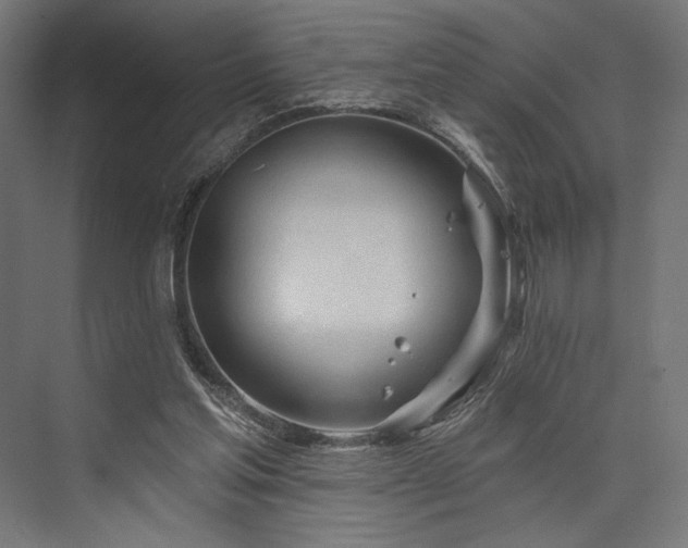 X0000076380205200610061133