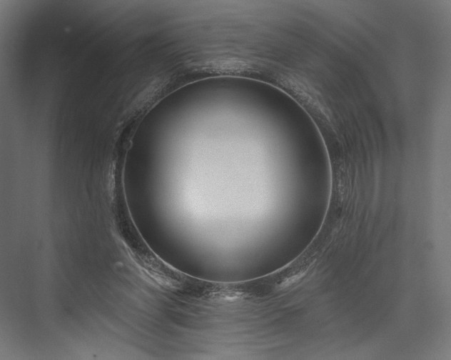 X0000076380206200610061133