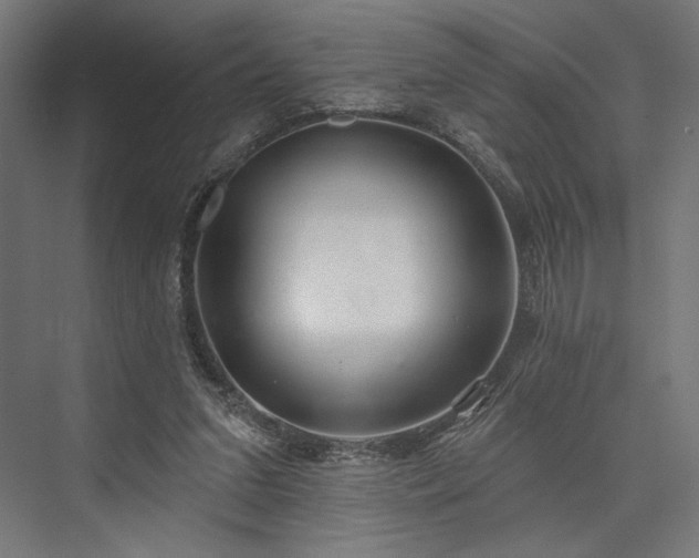 X0000076380207200610061133