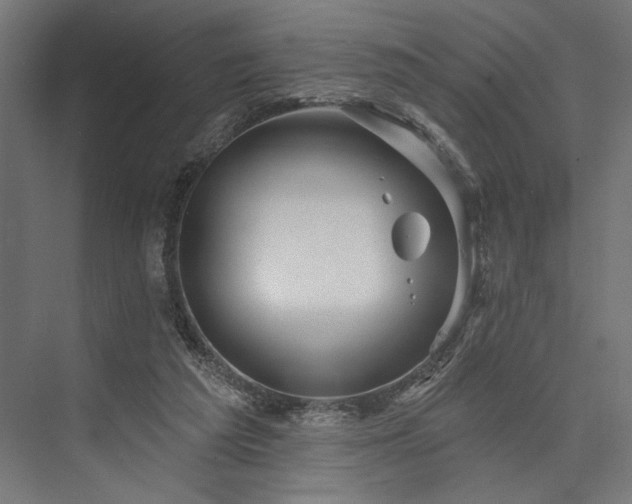 X0000076380209200610061133