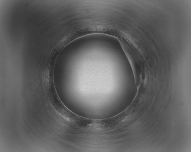 X0000076380211200610061133