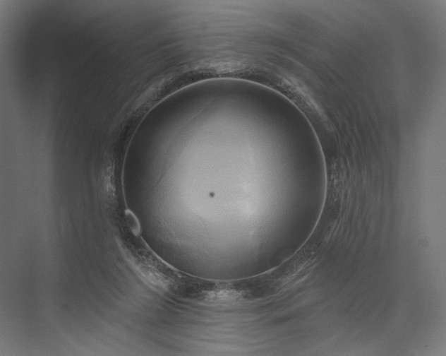 X0000076380212200610061133