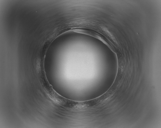 X0000076380213200610061133