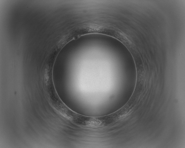 X0000076380215200610061133