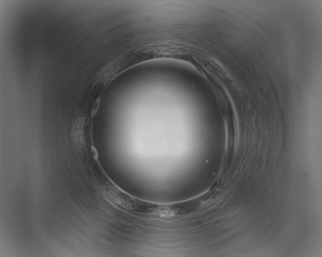 X0000076380217200610061133