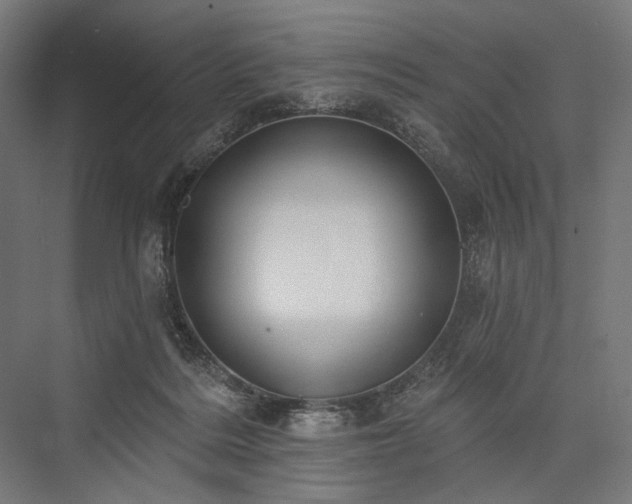 X0000076380220200610061133